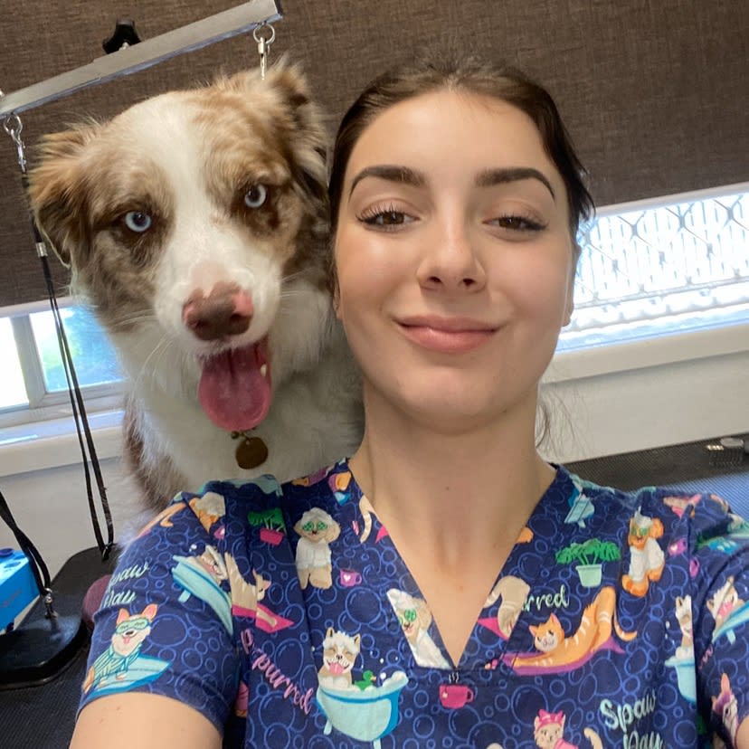 Photo in Sitter's gallery