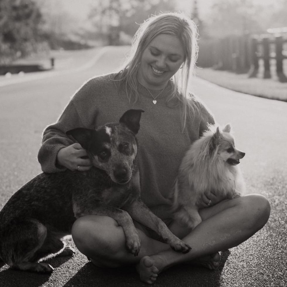 Photo in Sitter's gallery