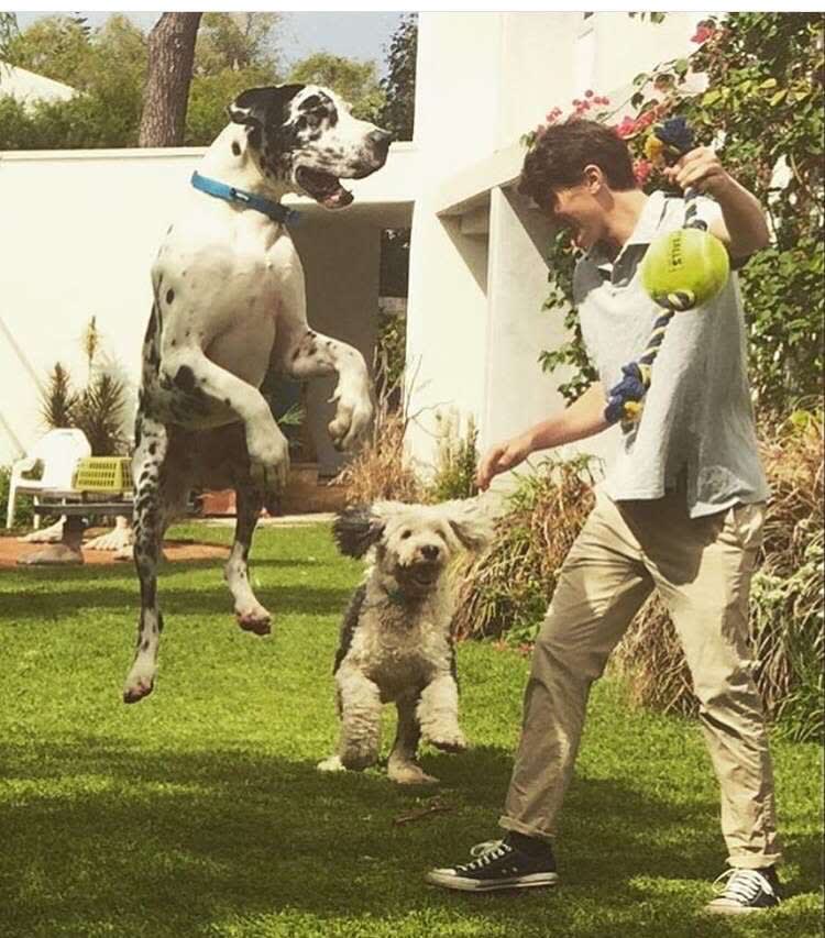 Photo in Sitter's gallery