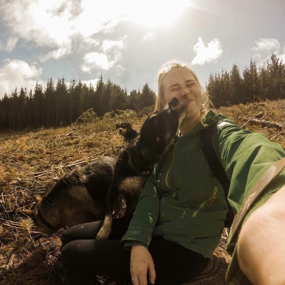 Photo in Sitter's gallery