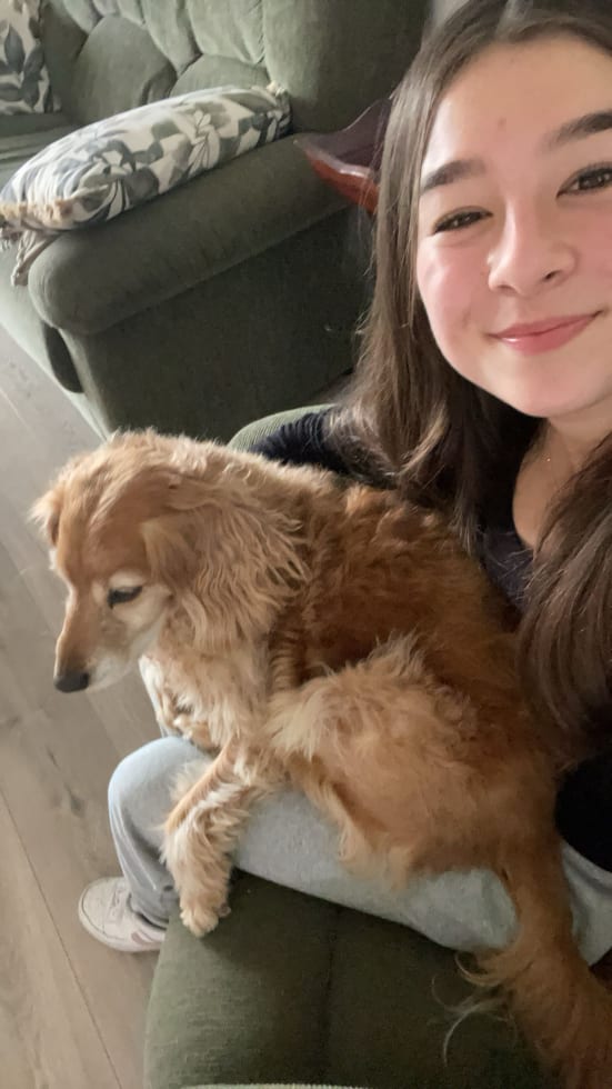 Photo in Sitter's gallery