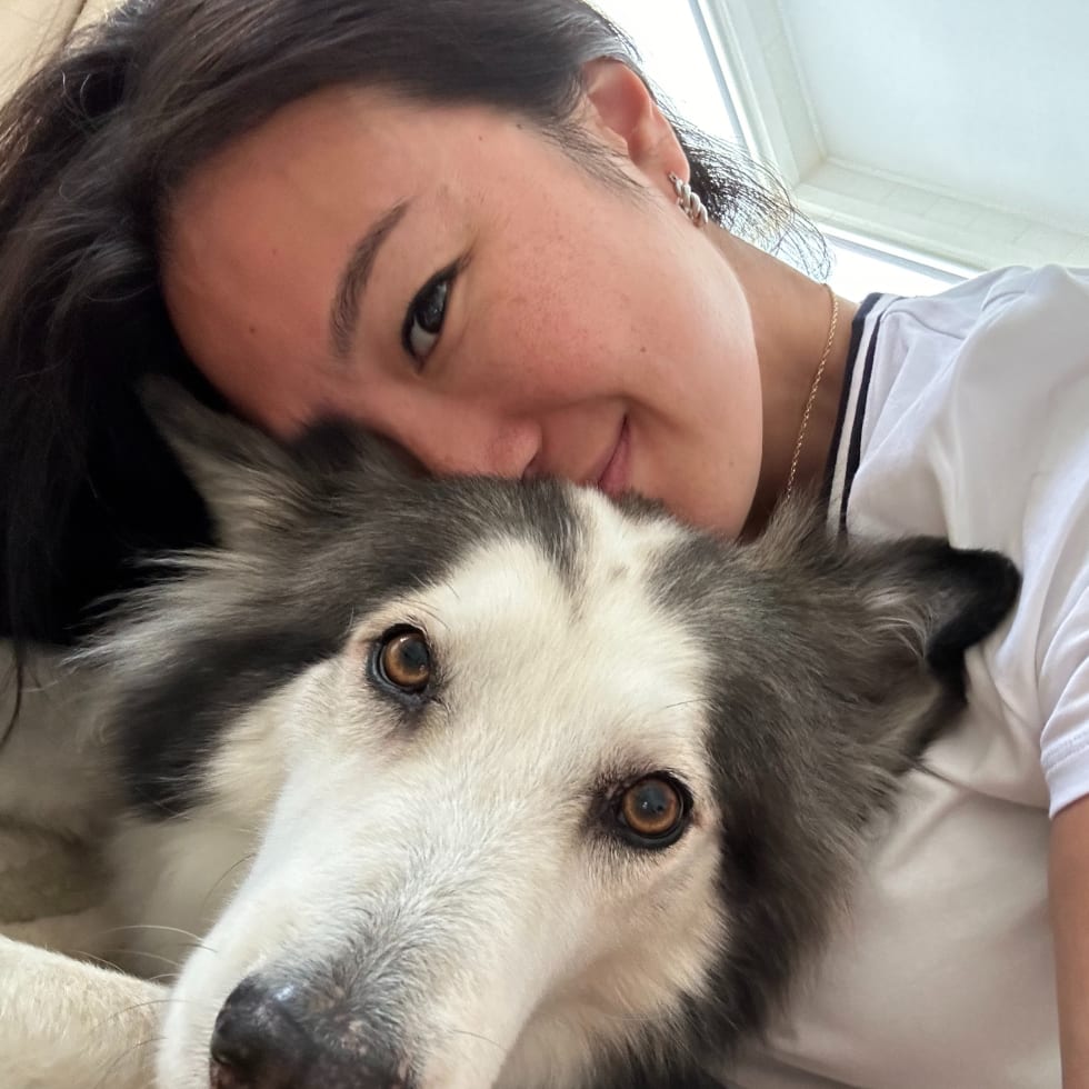 Photo in Sitter's gallery