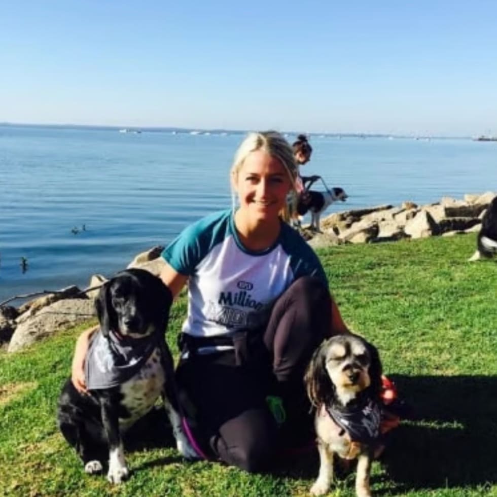 Photo in Sitter's gallery