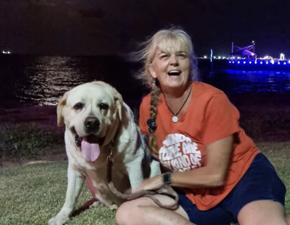 Photo in Sitter's gallery