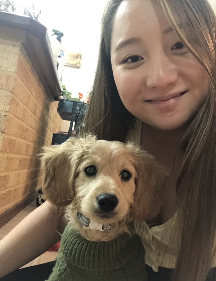 Photo in Sitter's gallery