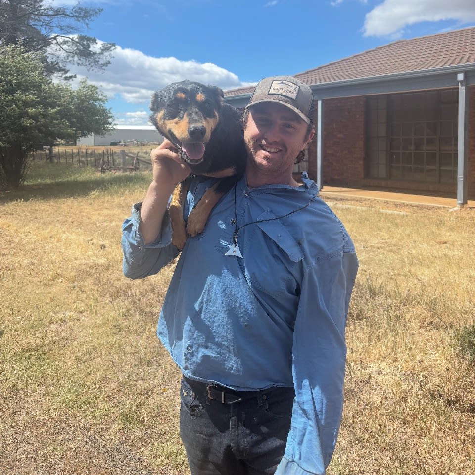 Photo in Sitter's gallery