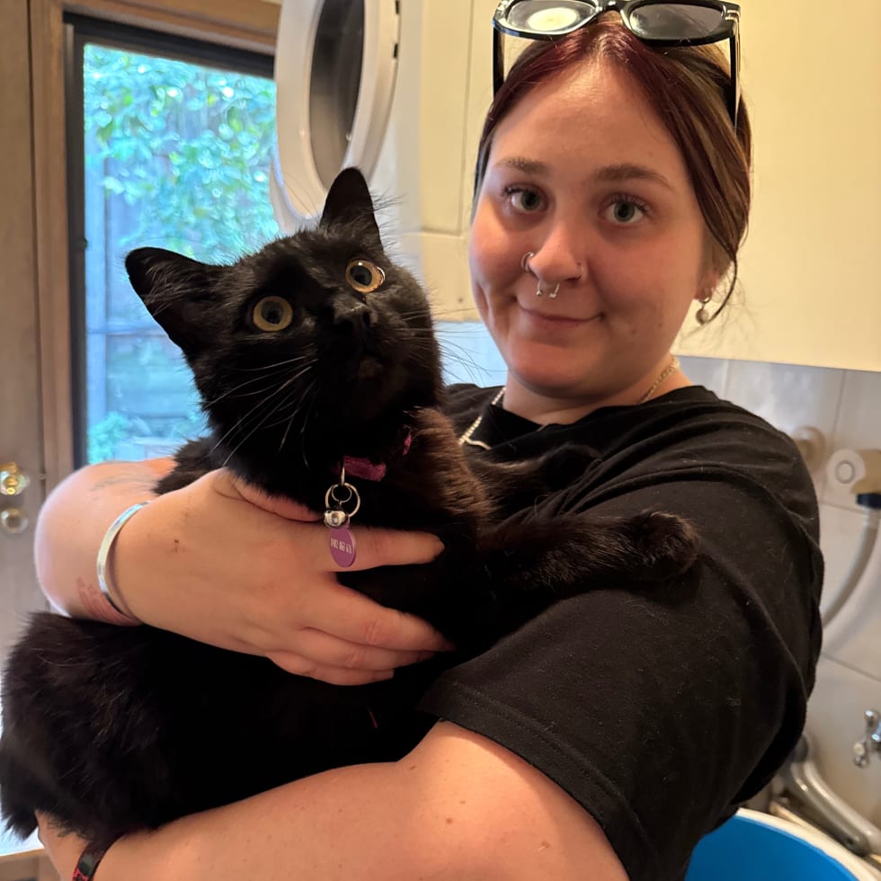 Photo in Sitter's gallery