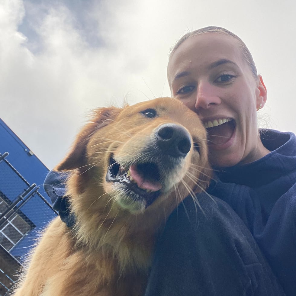 Photo in Sitter's gallery