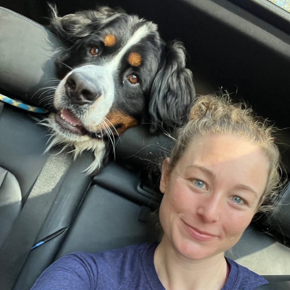 Photo in Sitter's gallery