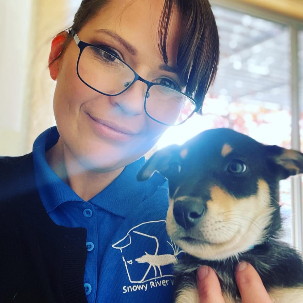 Photo in Sitter's gallery