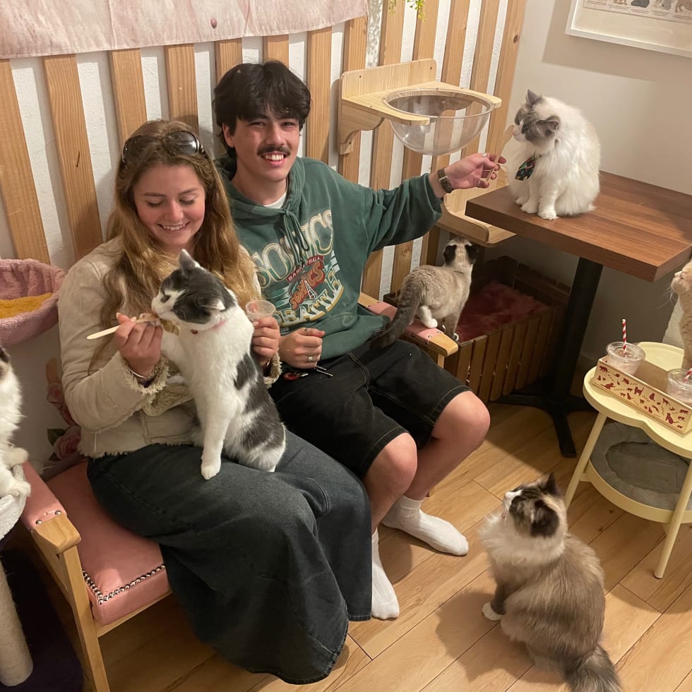 Photo in Sitter's gallery