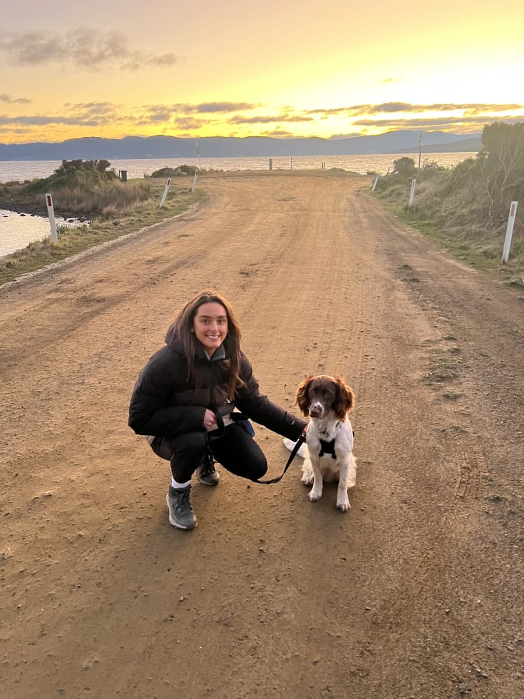 Photo in Sitter's gallery