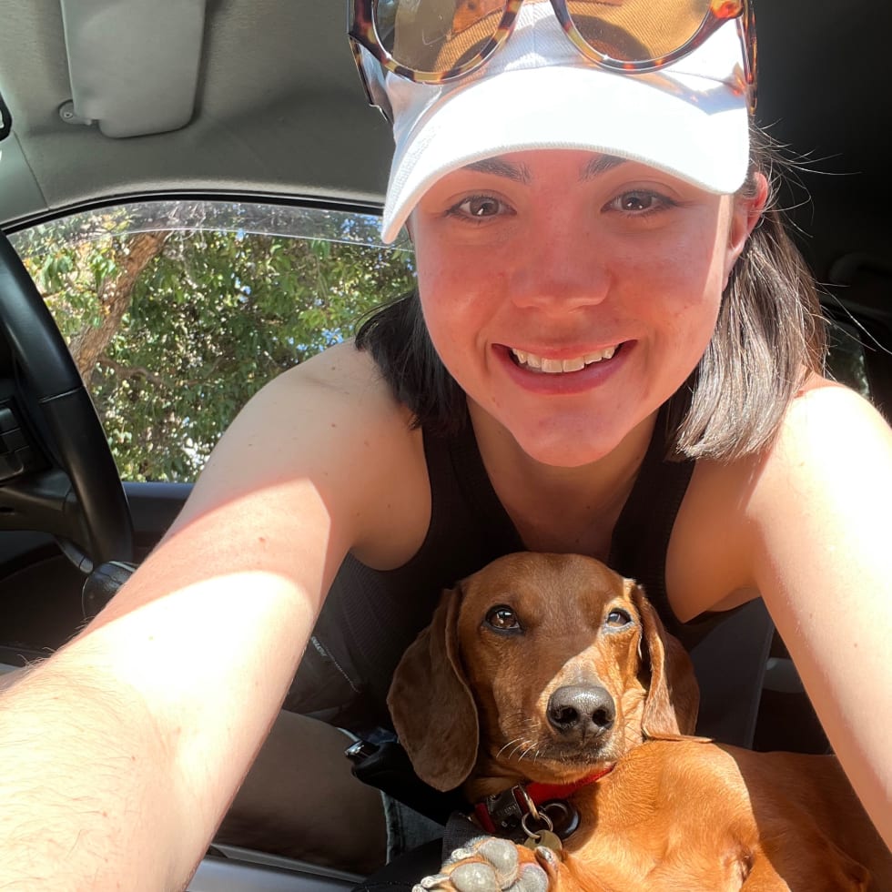 Photo in Sitter's gallery