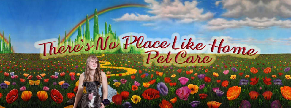 Rebecca H Pet Sitter In Moe Vic Mad Paws