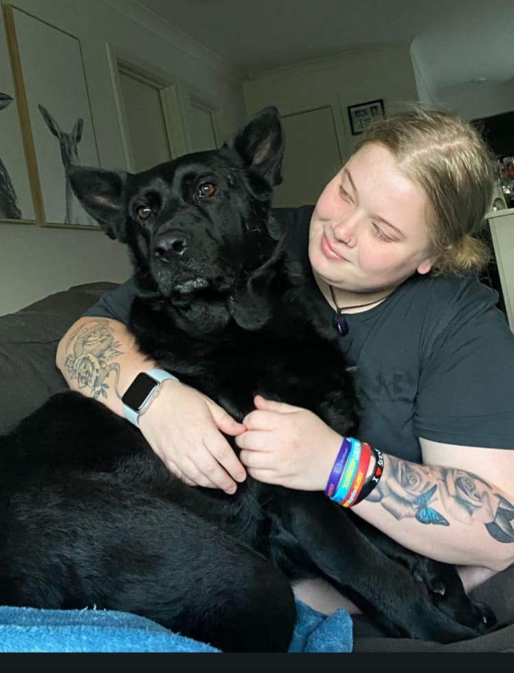 Photo in Sitter's gallery