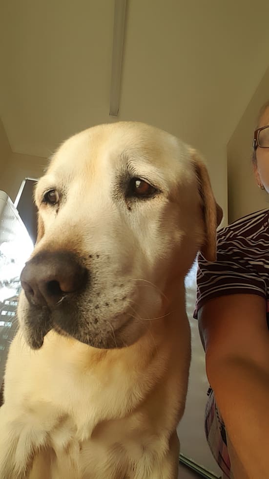 Photo in Sitter's gallery