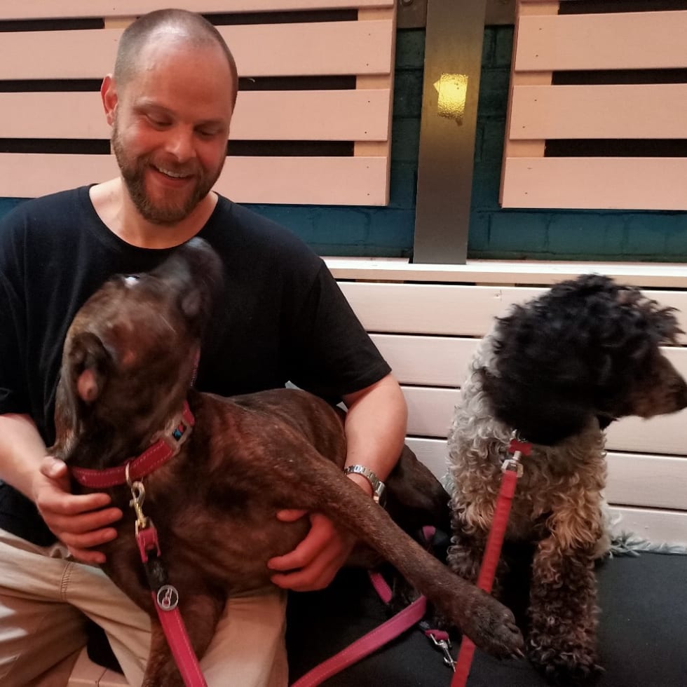 Photo in Sitter's gallery