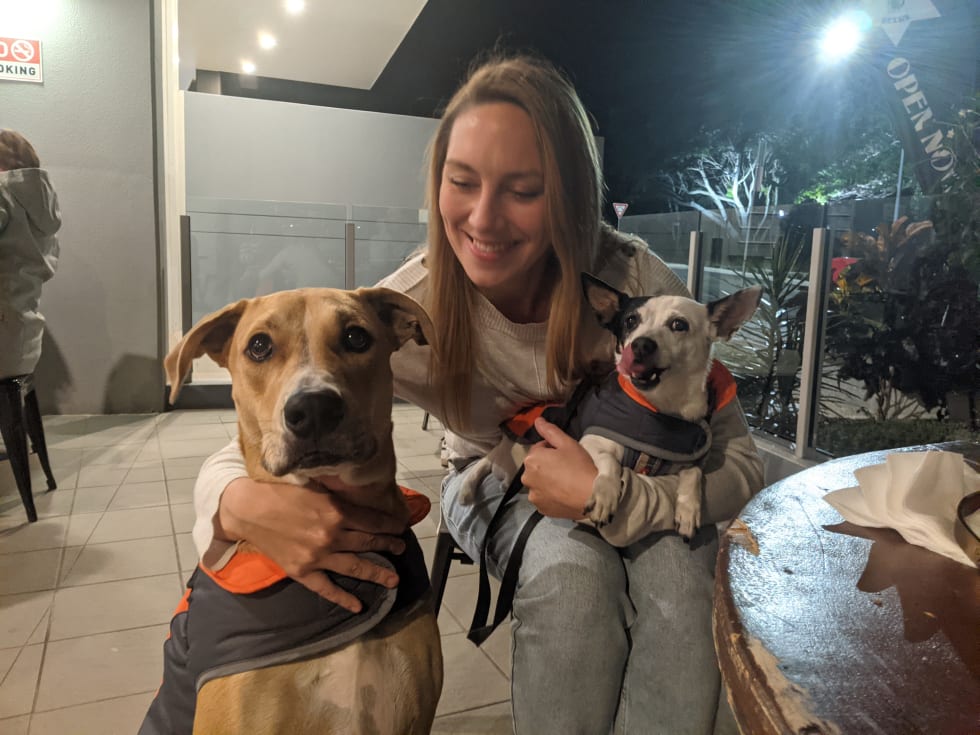 Photo in Sitter's gallery