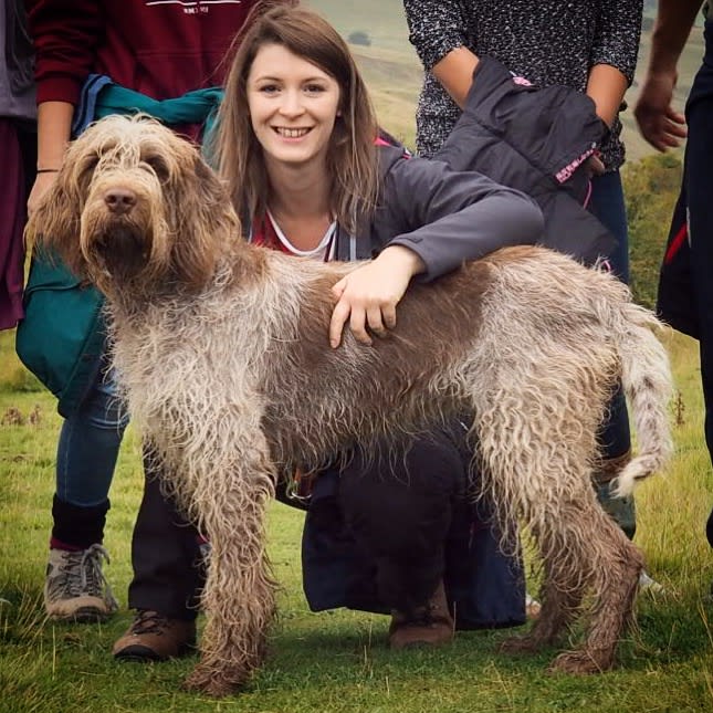 Photo in Sitter's gallery