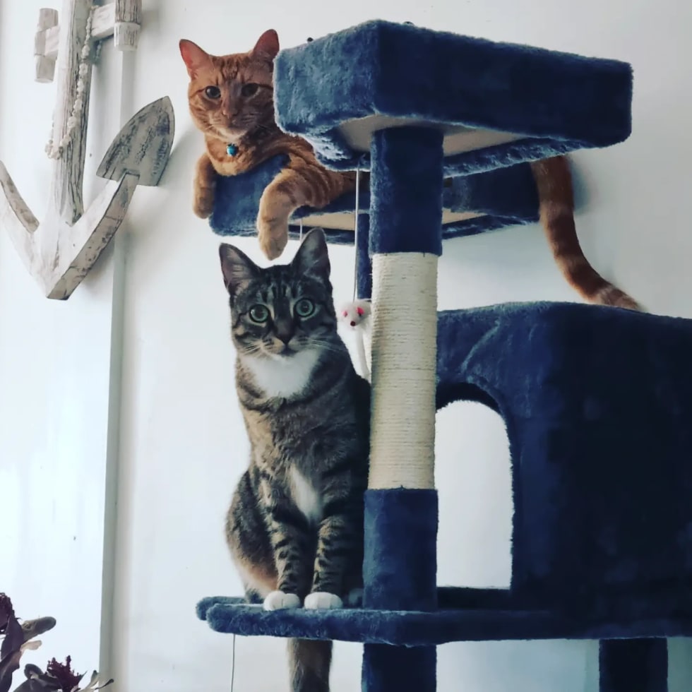 Photo in Sitter's gallery