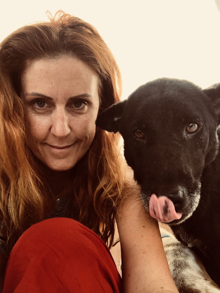 Photo in Sitter's gallery