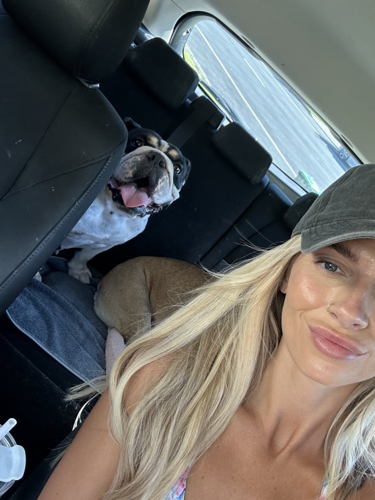 Photo in Sitter's gallery