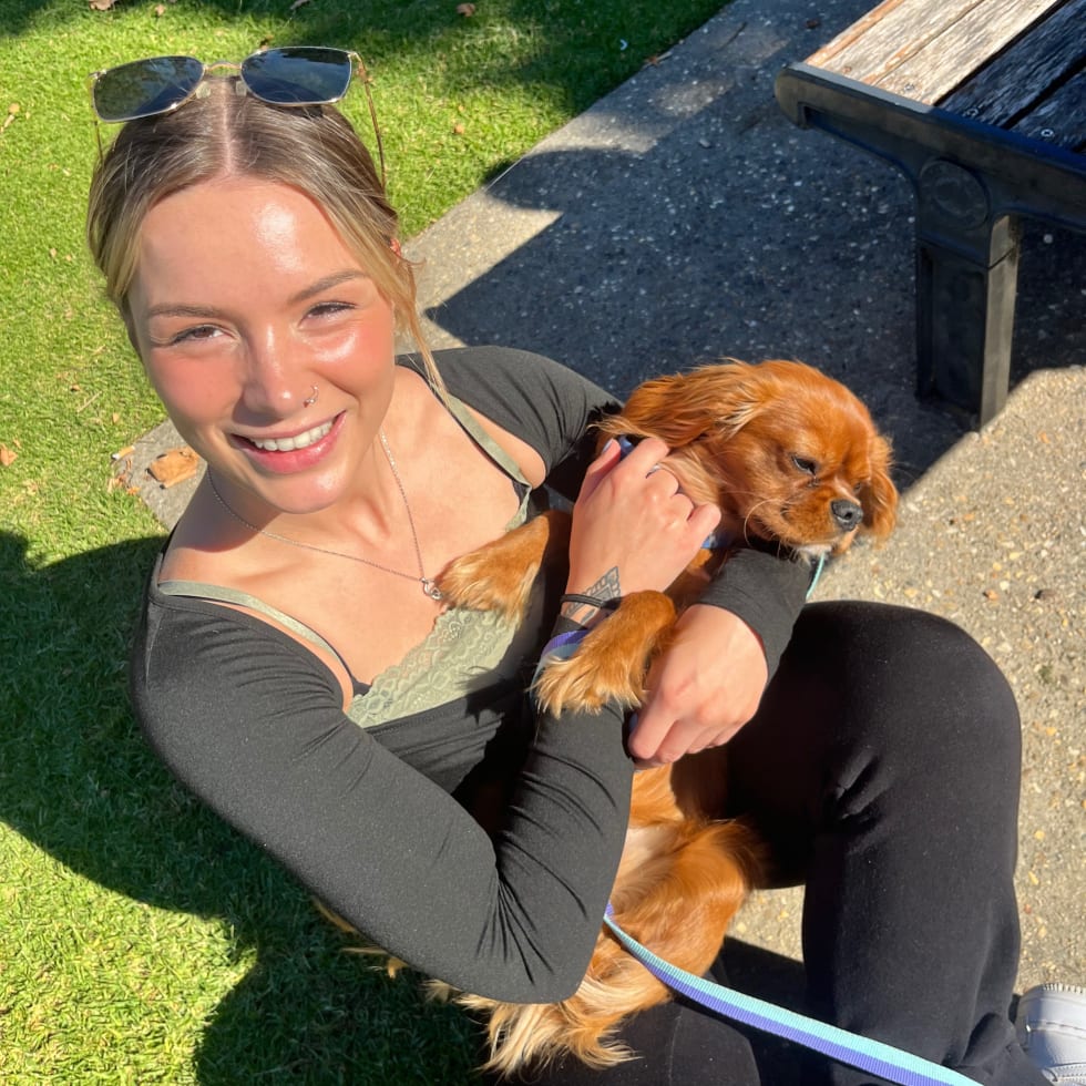 Photo in Sitter's gallery