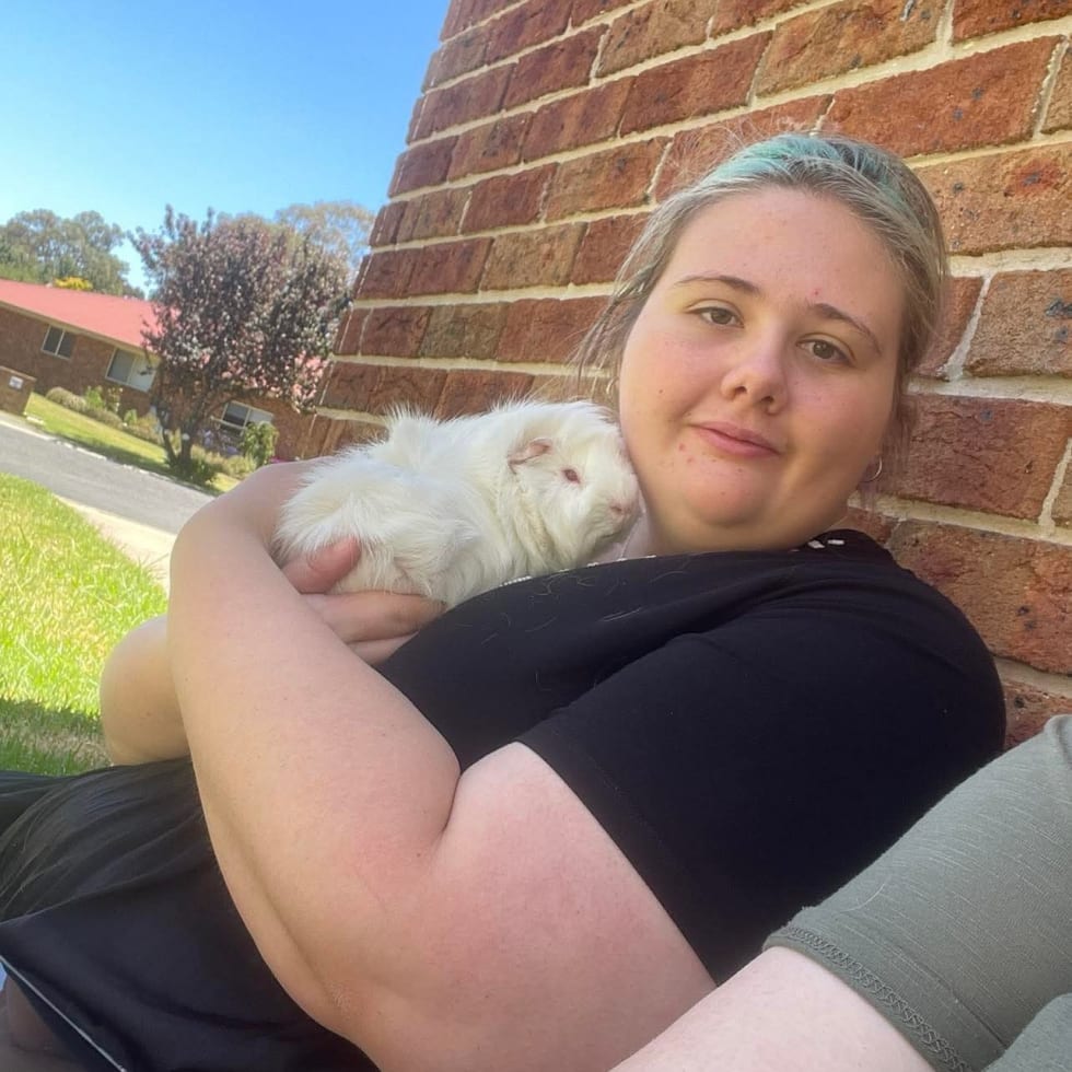 Photo in Sitter's gallery