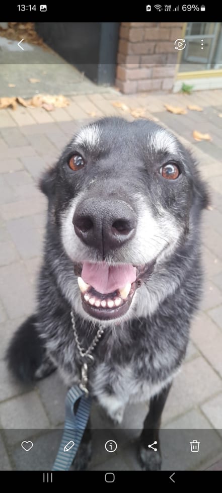 Photo in Sitter's gallery