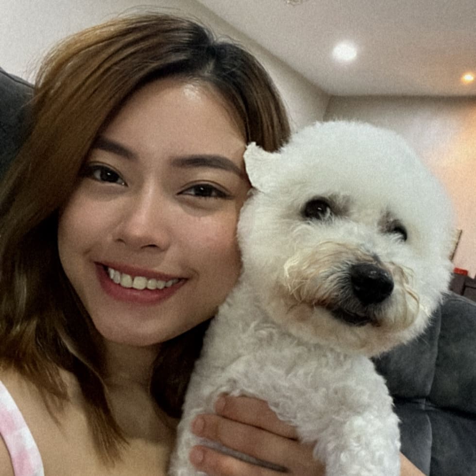 Photo in Sitter's gallery