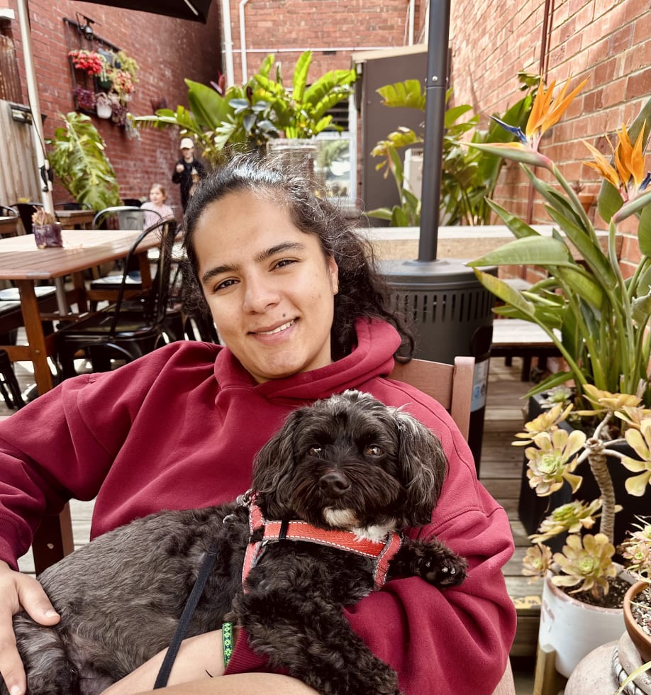 Photo in Sitter's gallery