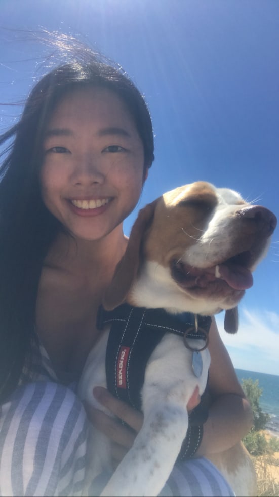 Photo in Sitter's gallery