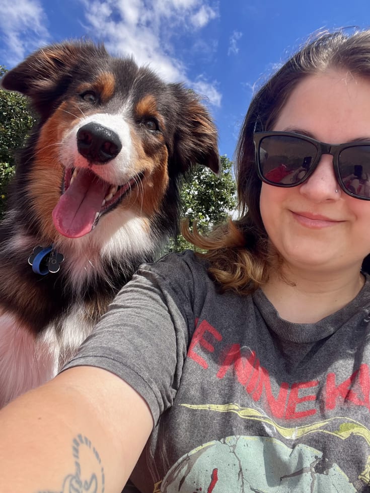 Photo in Sitter's gallery