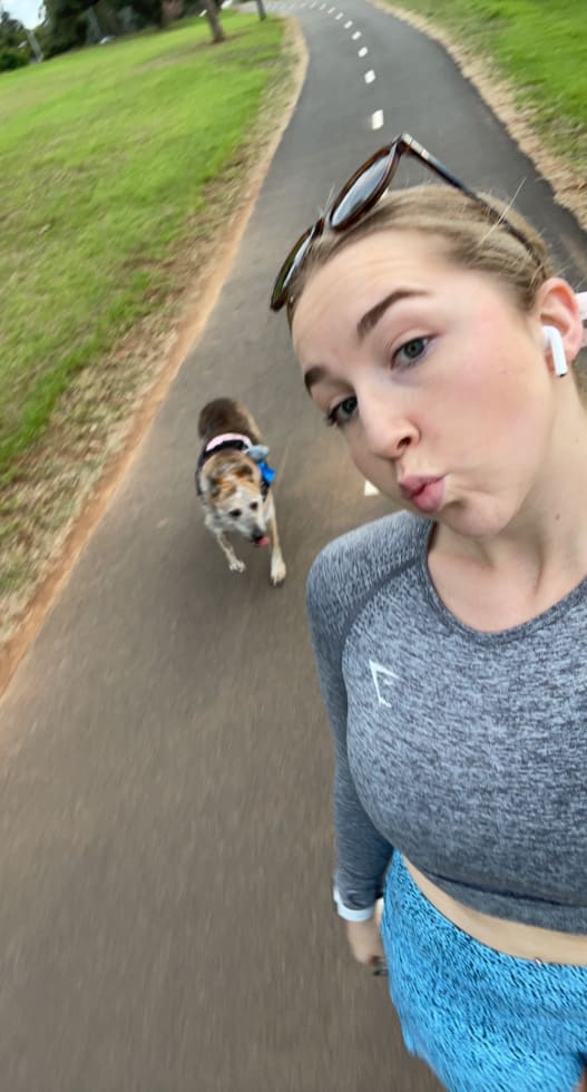 Photo in Sitter's gallery