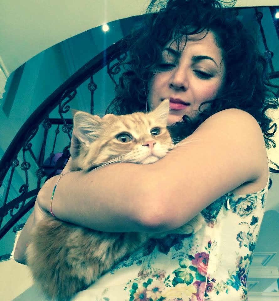 Photo in Sitter's gallery