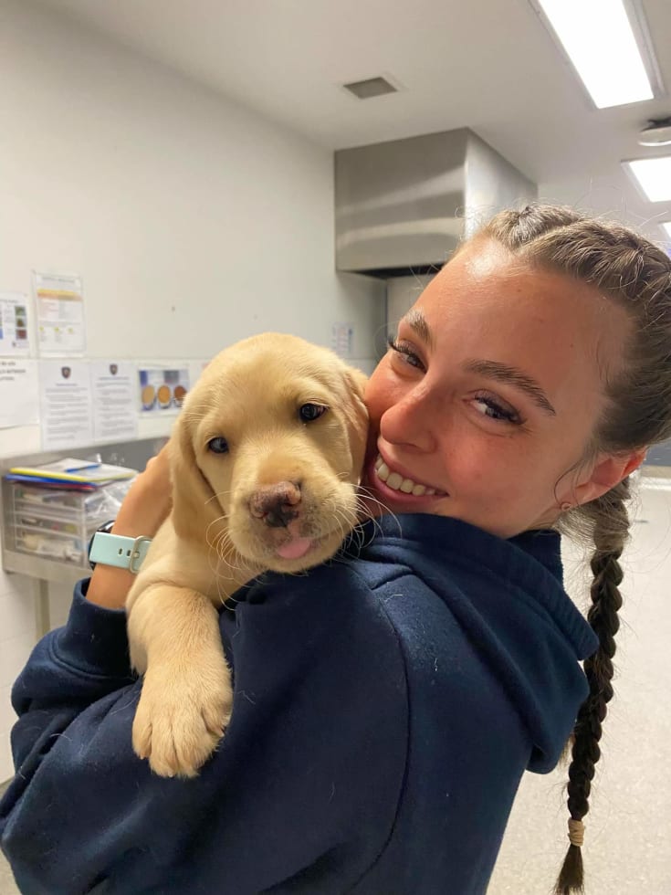 Photo in Sitter's gallery