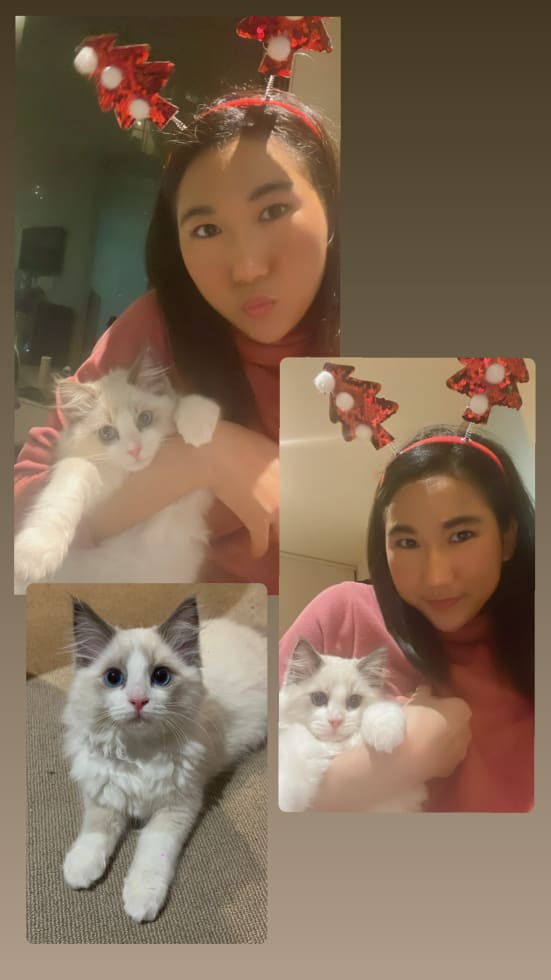 Photo in Sitter's gallery