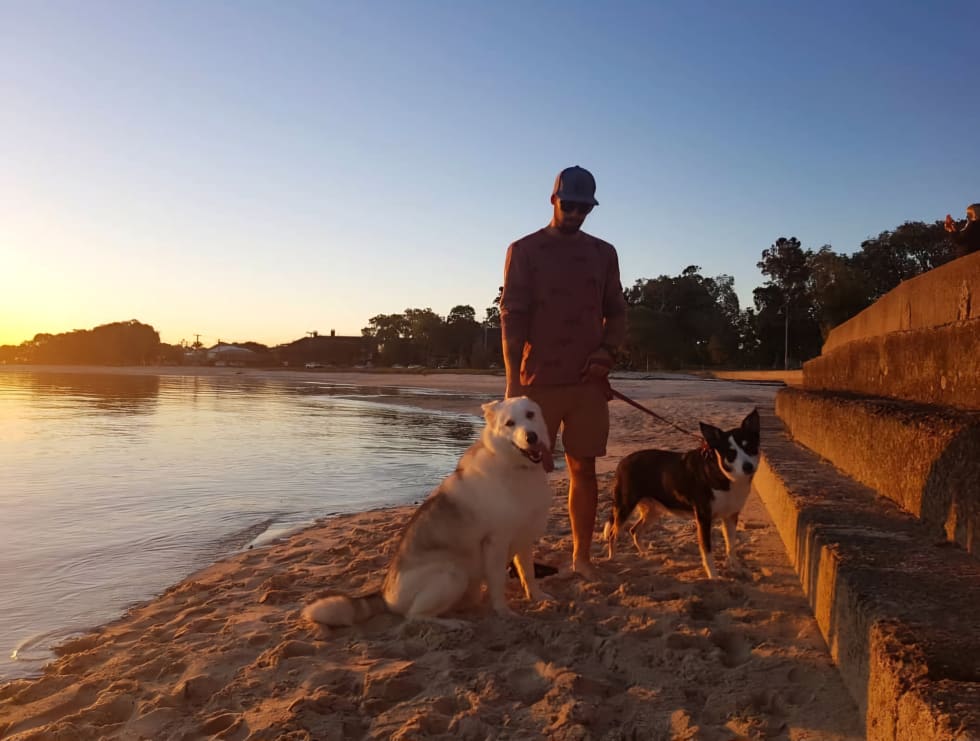 Photo in Sitter's gallery