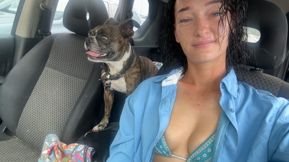 Photo in Sitter's gallery