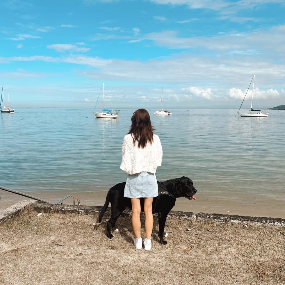 Photo in Sitter's gallery