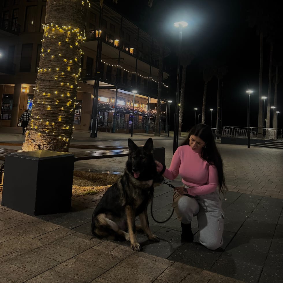 Photo in Sitter's gallery