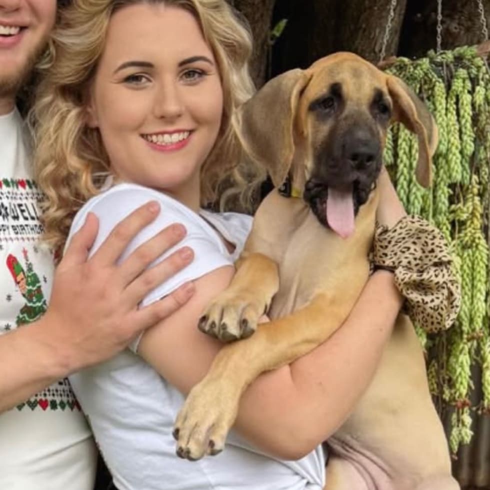 Photo in Sitter's gallery