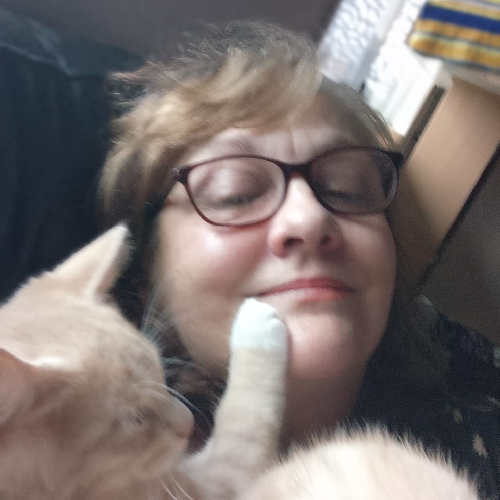 Photo in Sitter's gallery