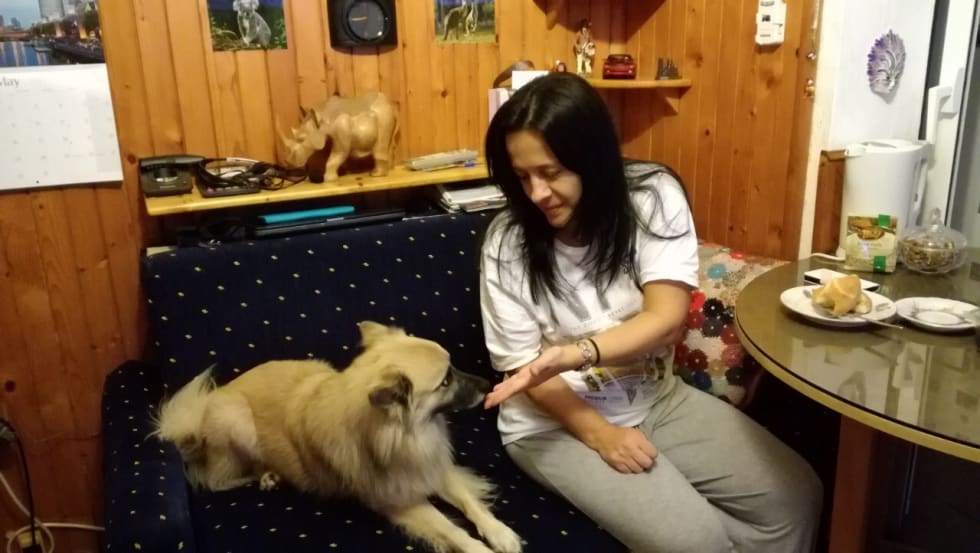 Photo in Sitter's gallery