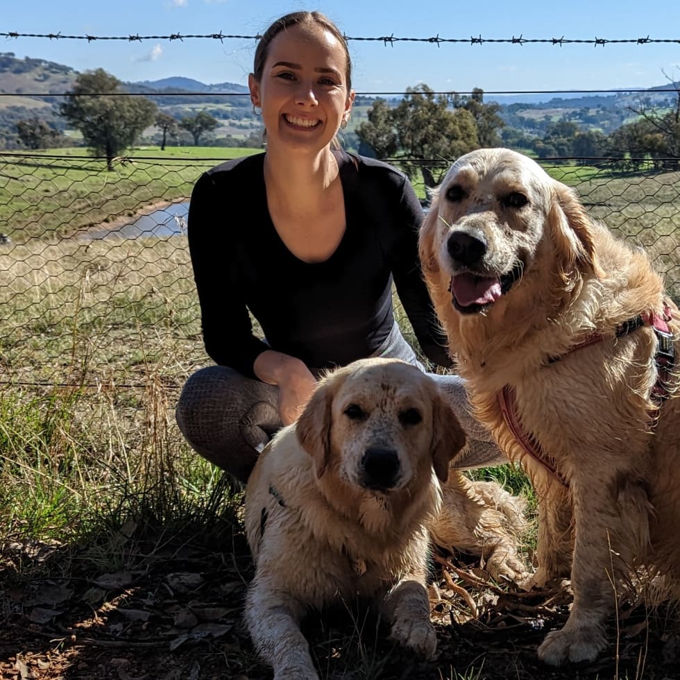 Photo in Sitter's gallery