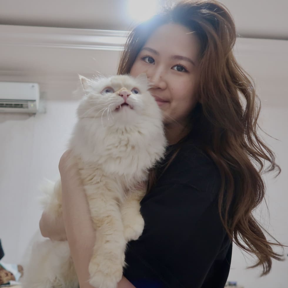 Photo in Sitter's gallery