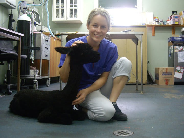 Photo in Sitter's gallery