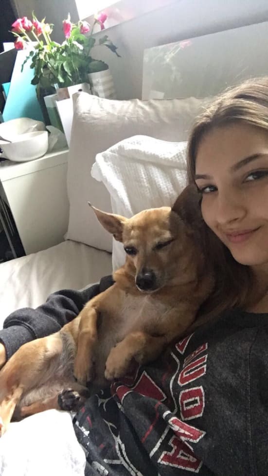 Photo in Sitter's gallery