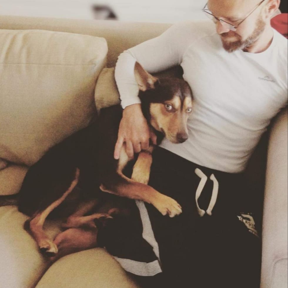 Photo in Sitter's gallery