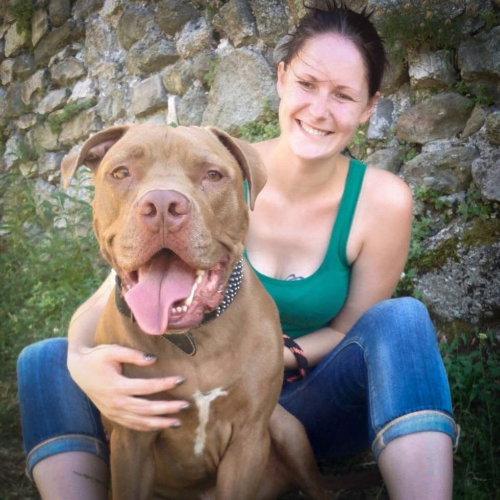 Photo in Sitter's gallery